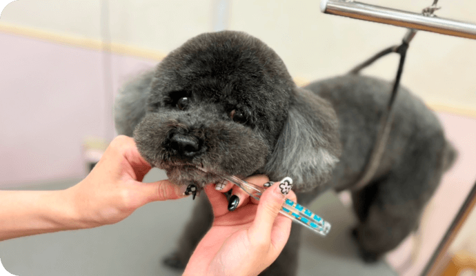 歯磨きでケアの様子